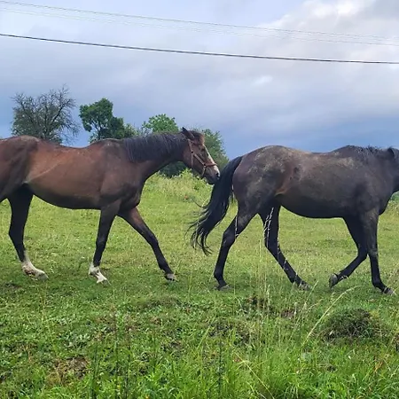 Chata Turik 샬레 Turik