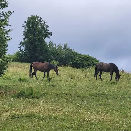 Chata Turik 샬레 Turik