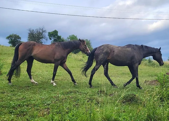 Chata Turik Alpstuga Turik