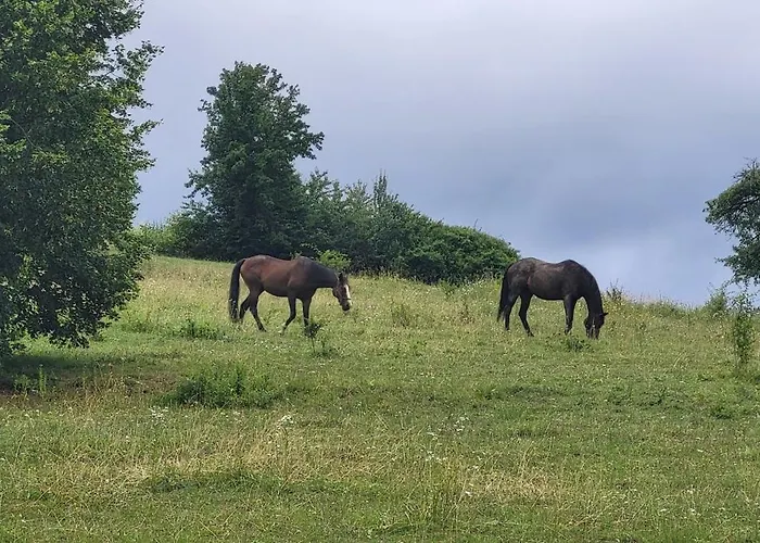 Chata Turik Alpstuga Turik